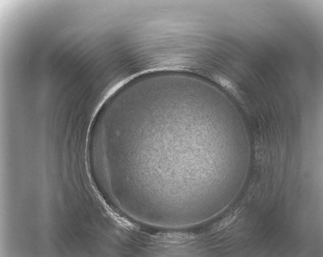 X0000061731077200512050927