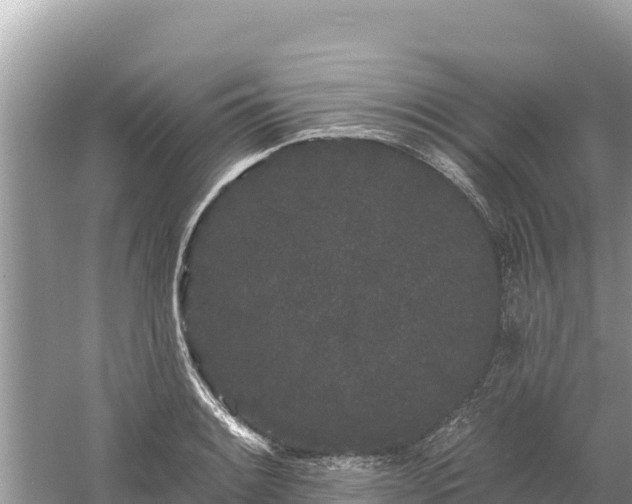 X0000061731084200512050927