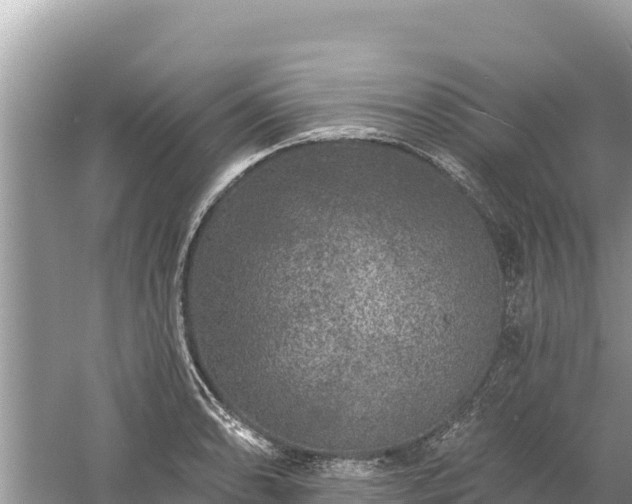 X0000061731086200512050927