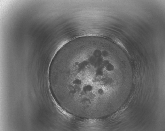 X0000061731087200512050927