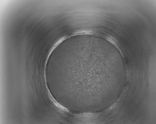 X0000061731090200512050927