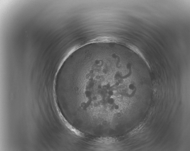 X0000061731091200512050927