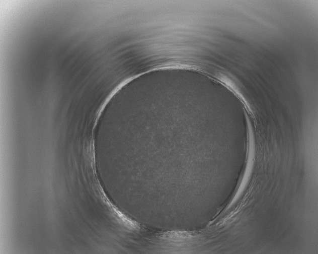 X0000061731092200512050927