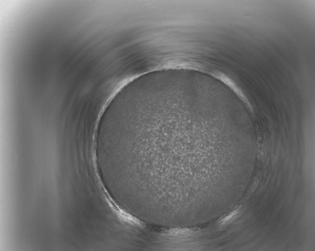 X0000061731094200512050927