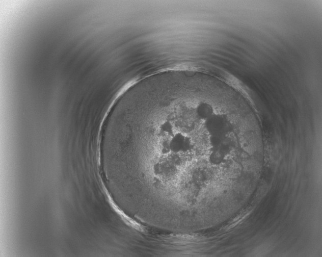 X0000061731095200512050927