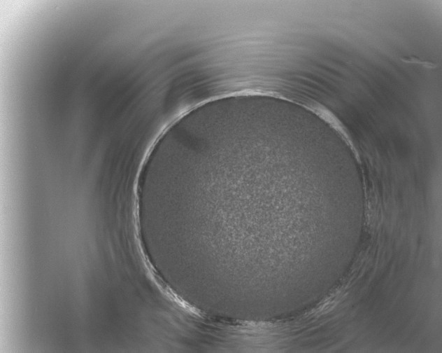 X0000061731096200512050927