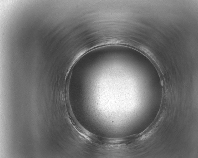 X0000061731097200512050927