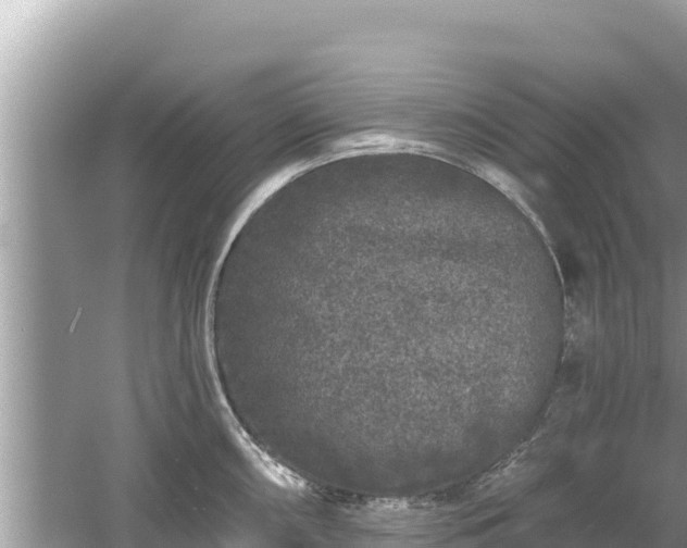 X0000061731098200512050927