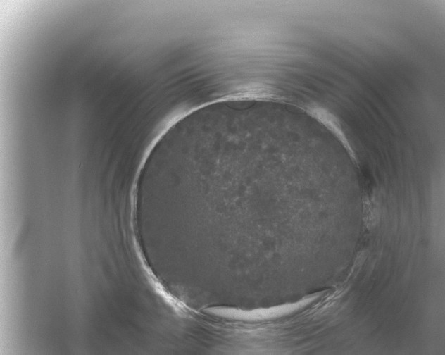 X0000061731099200512050927