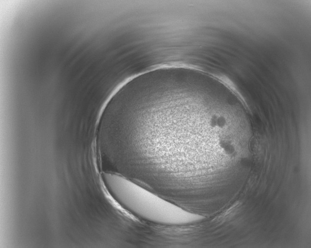 X0000061731100200512050927