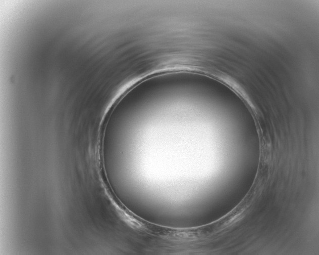 X0000061731101200512050927