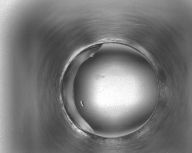 X0000061731102200512050927