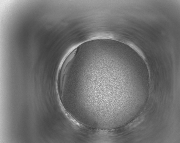 X0000061731104200512050927