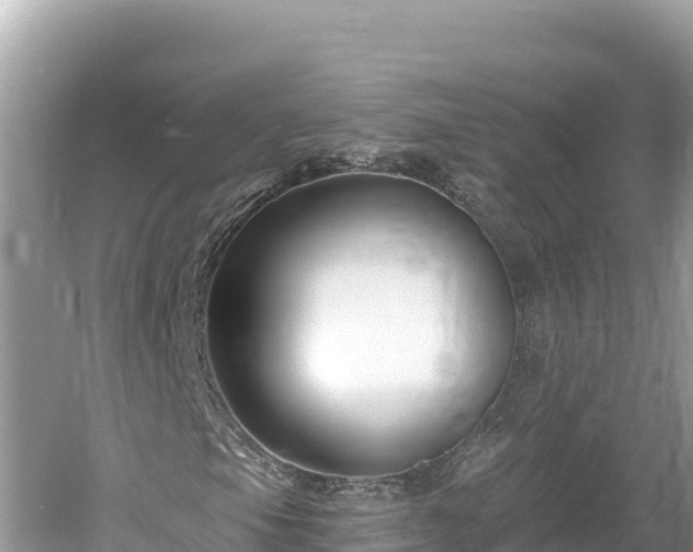 X0000061731105200512050926