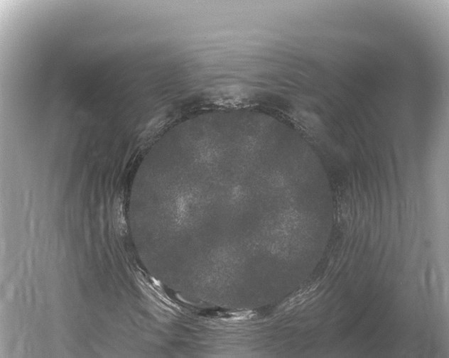 X0000061731106200512050926