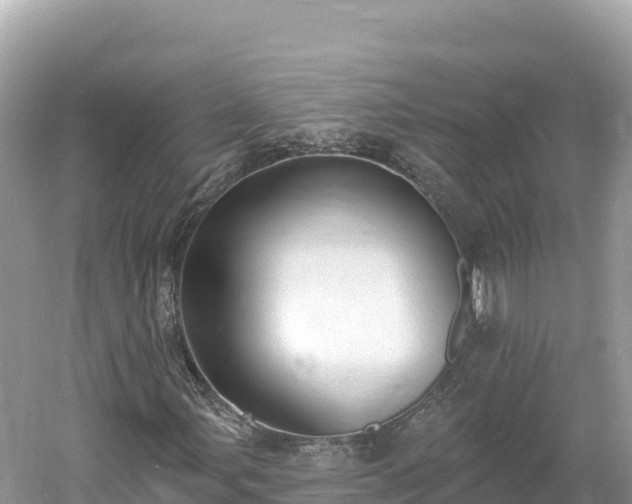 X0000061731107200512050926