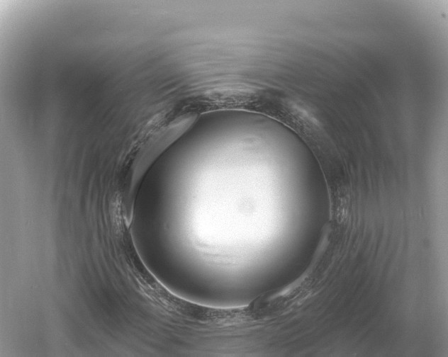 X0000061731108200512050926