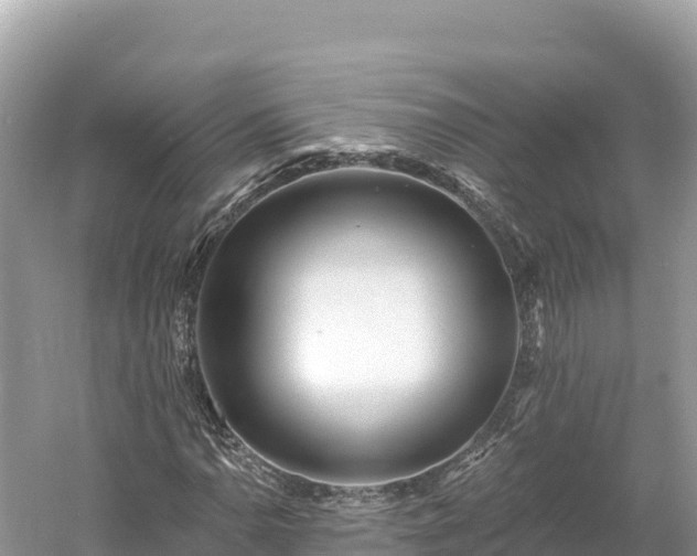 X0000061731110200512050926