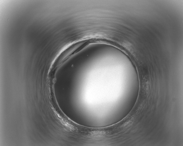 X0000061731118200512050926