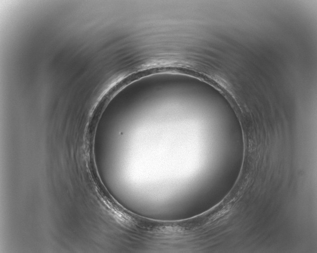 X0000061731119200512050926