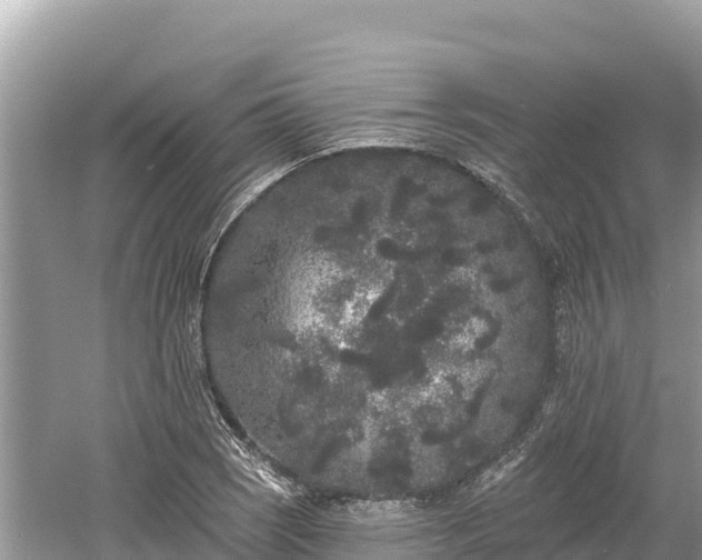 X0000061731121200512050926