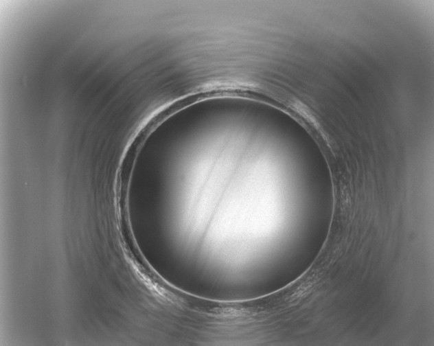 X0000061731124200512050926