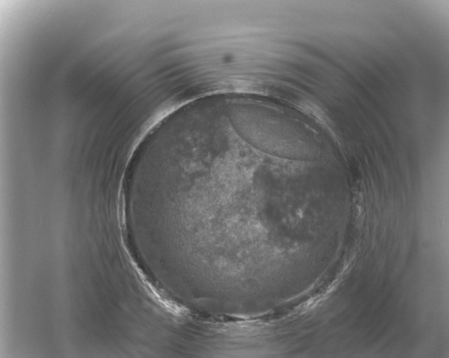 X0000061731125200512050926