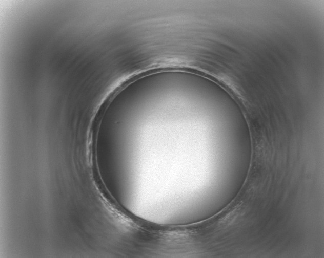 X0000061731126200512050926