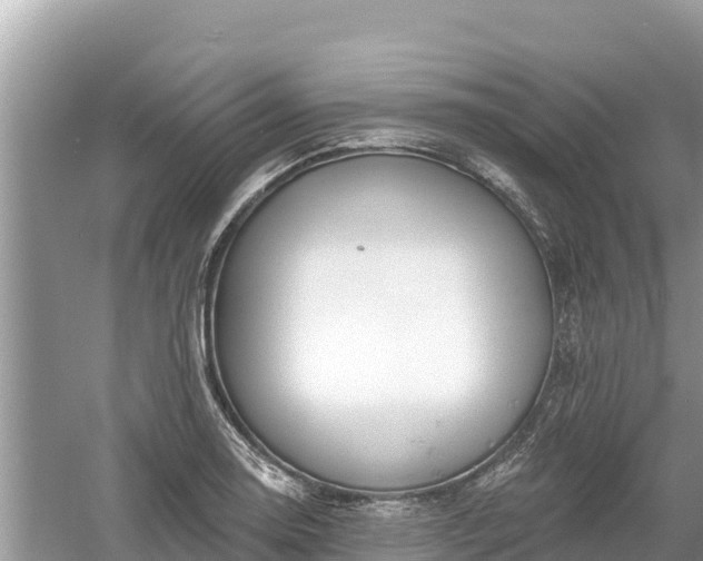 X0000061731130200512050926