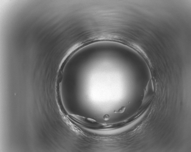 X0000061731138200512050926