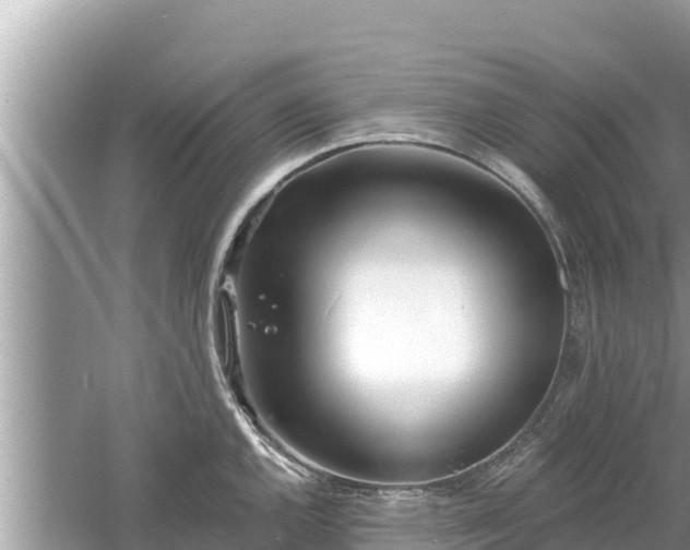 X0000061731144200512050926