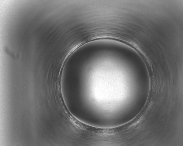 X0000061731145200512050926