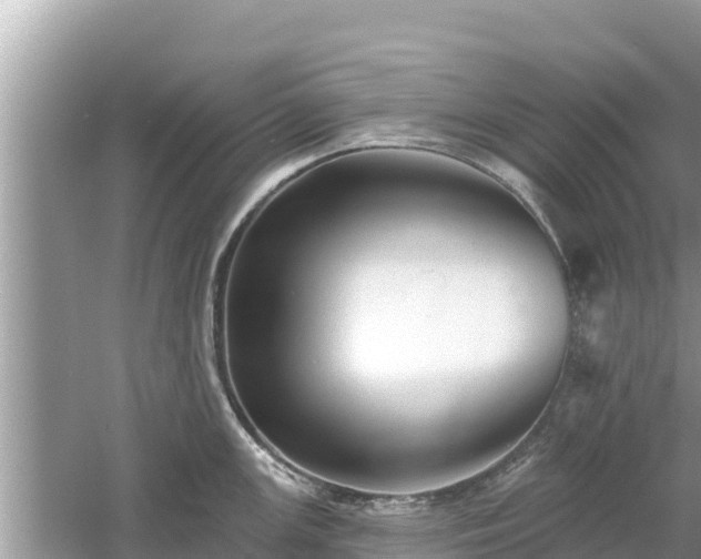 X0000061731147200512050927