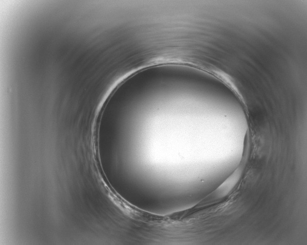 X0000061731148200512050927