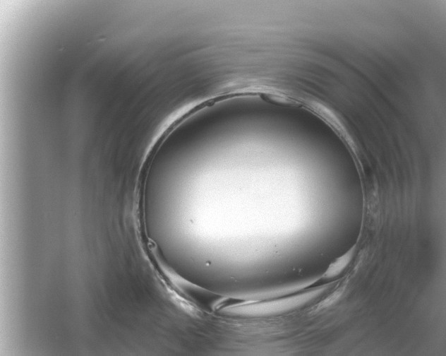 X0000061731149200512050927