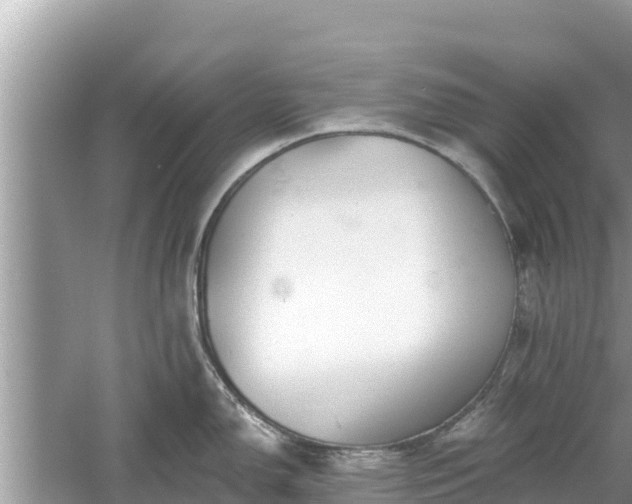 X0000061731150200512050927