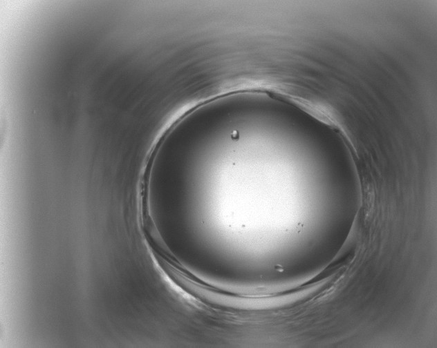 X0000061731151200512050927