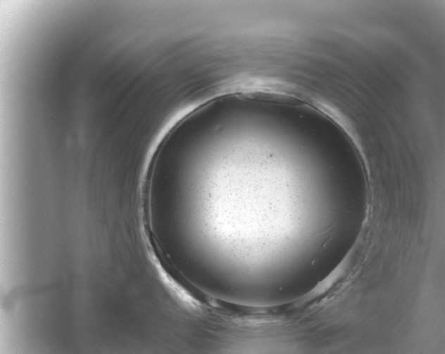 X0000061731152200512050927