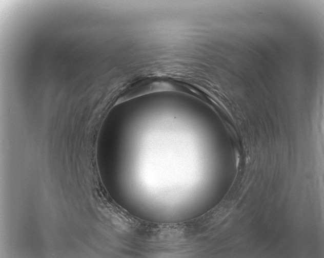 X0000061731153200512050926