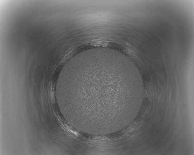 X0000061731154200512050926