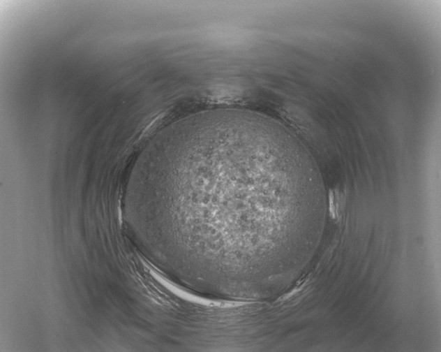 X0000061731155200512050926