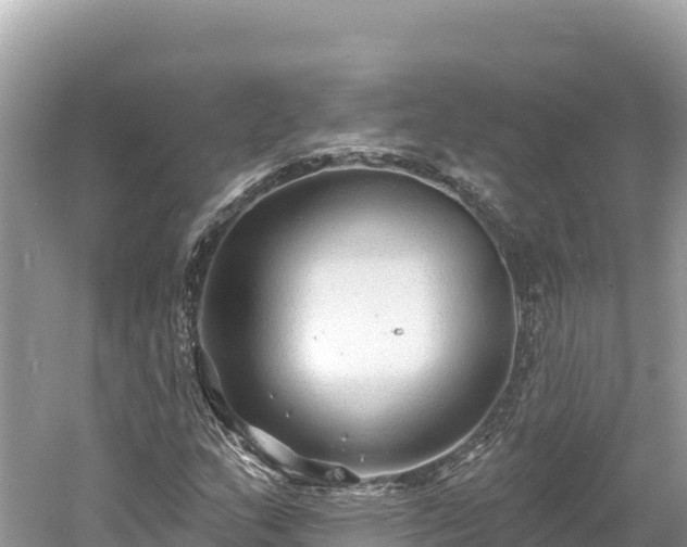 X0000061731159200512050926