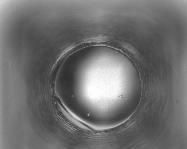 X0000061731160200512050926