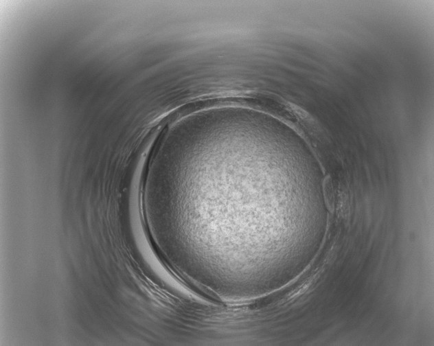 X0000061731161200512050926