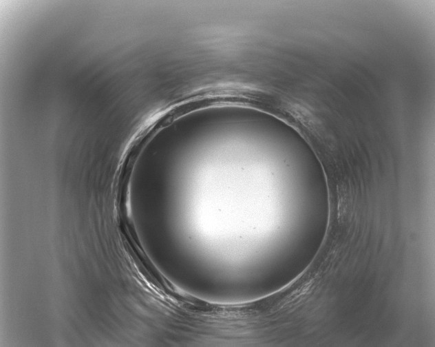 X0000061731164200512050926