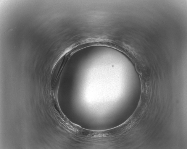 X0000061731165200512050926