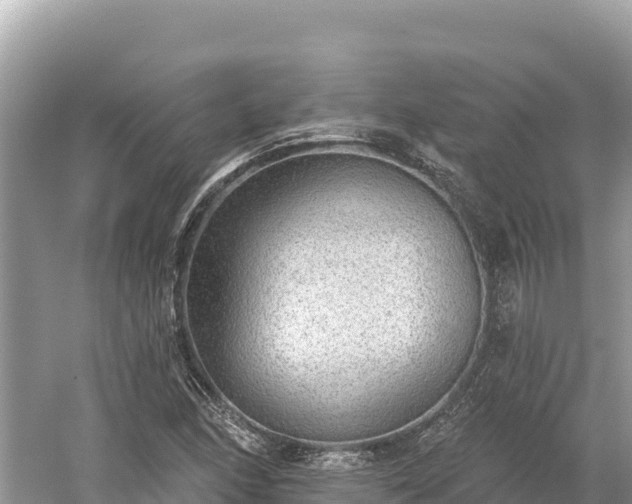 X0000061731166200512050926