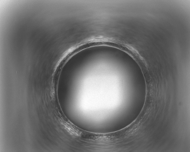 X0000061731167200512050926