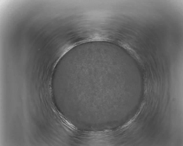 X0000061731170200512050925