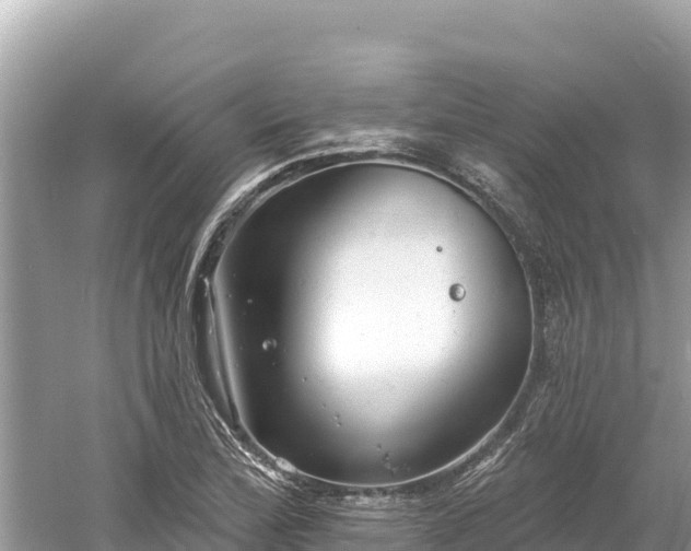 X0000061731172200512050925